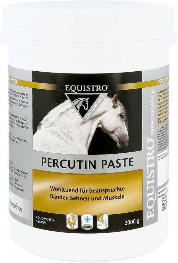 Equistro Percutin Paste äusserlich veterinär