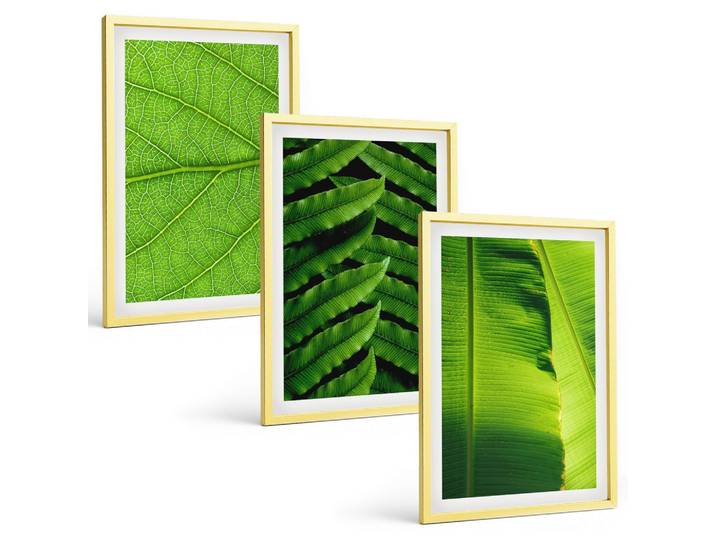 BILDER SET 3er Set - 40x60 cm Goldrahmen - Makrofotografie von tropischen Blättern