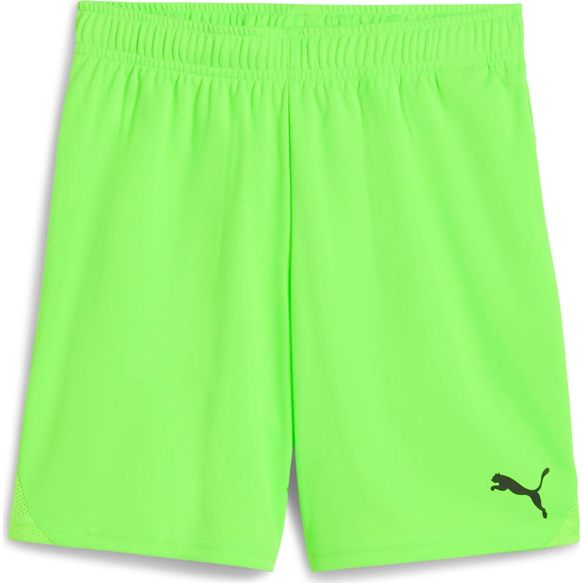 Puma Teamgoal Shorts modern mint (41) S 705752-41-S