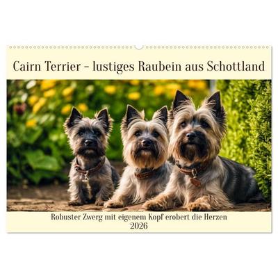 Cairn Terrier - lustiges Raubein aus Schottland (Wandkalender 2026 DIN A2 quer), CALVENDO Monatskalender