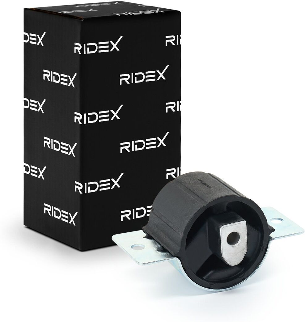 RIDEX 249M0054 Lagerung, Schaltgetriebe
