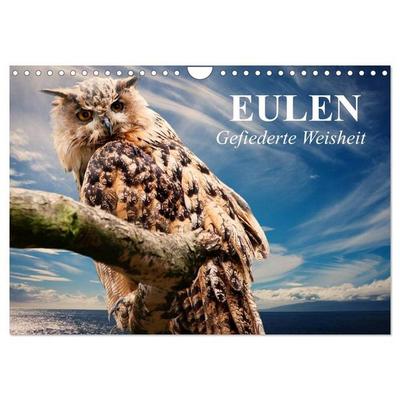 Eulen. Gefiederte Weisheit (Wandkalender 2027 DIN A4 quer), CALVENDO Monatskalender