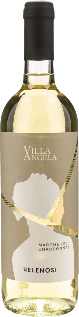 Velenosi Chardonnay Villa Angela 2024