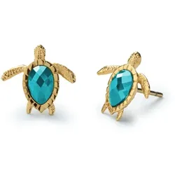 PAUL HEWITT - OHRSTECKER - TURTLE - aquamarine gold