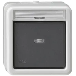 Gira Wipptaster Schliesser sMK BSF WD AP Grau 015231, Schalter + Taster, Grau