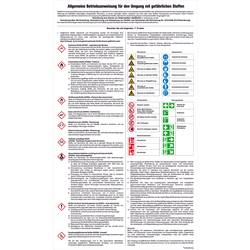 SafetyMarking 43.A9510 Aushang Gefahrstoffe Allgemeine Betriebsanweisung Kunststoff (B x H) 480 mm x 830 mm 1 St.