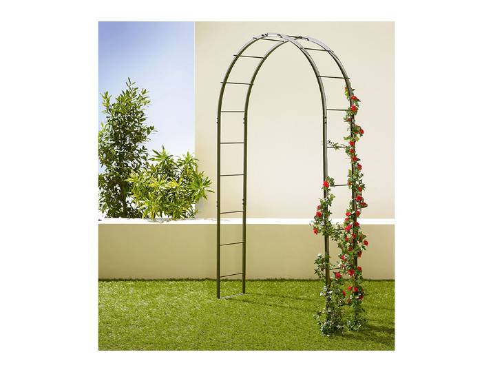 Old Garden Rosenbogen Lena Schwarz 240 × 40 × 140 cm
