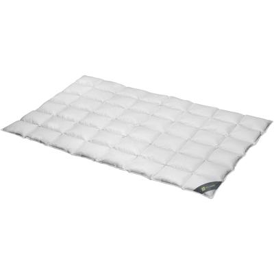 Daunenbettdecke SPESSARTTRAUM "Wildente Bettdecken 135x200cm & weitere Größen", silber (silberfarben), B:200cm L:200cm, Bezug: 100% Baumwolle. Füllung: 100% Daunen, Bettdecken, Bettdecken Ganzjahresbettdecke, Winter, Sommer