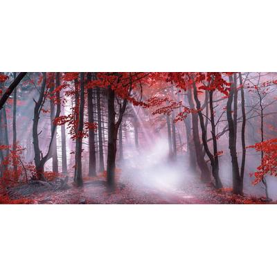Leinwandbild BÖNNINGHOFF "Wandbild NEBEL IM HERBSTWALD 33x70 cm – Leinwandbild Keilrahmen Deko", rot (farbe rahmen: kein rahmen, farbe bild(er): rot, braun, weiß, grau), B:70cm H:33cm T:1,8cm, Canvas, MDF, Bilder, Leinwandbild, auf Keilrahmen gespannt