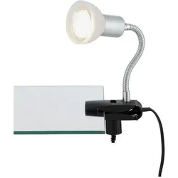 Briloner, Tischlampe, LED Klemmleuchte, titanfarbig-weiss, 1xLED/GU10/3W (250 lm, GU10)