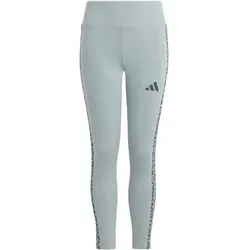 ADIDAS Kinder Tight SEASONALS ANIMAL, Größe 170 in Silber Silber