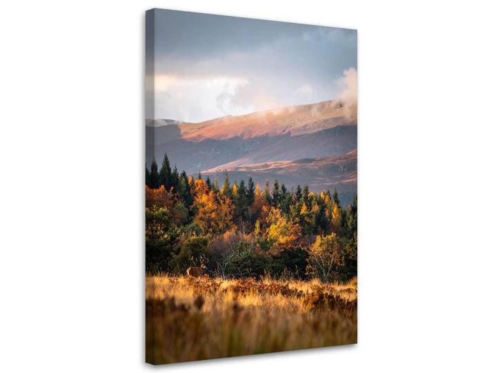 Feeby Leinwandbild Landschaft Berge Täler Natur 70x100cm, Mehrfarbig, Landschaft/Berg, Rechteckig, 70x100 cm, Bilder & Rahmen, Bilder, Leinwandbilder