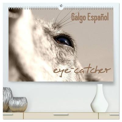 Galgo eye-catcher (hochwertiger Premium Wandkalender 2027 DIN A2 quer), Kunstdruck in Hochglanz
