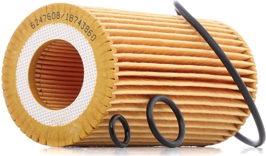 RIDEX PLUS 100908O0019P Ölwechsel-Set (Ölfilter + Motoröl)
