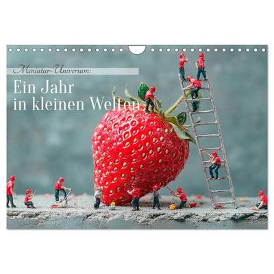 Miniatur-Universum: Ein Jahr in kleinen Welten (Wandkalender 2026 DIN A4 quer), CALVENDO Monatskalender