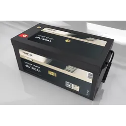 FORSTER 51,2V Lithium 100Ah LiFePO4 Premium Batterie | 200A-BMS-2.0... - 0% MwST. (Angebot gemäß §12 USt Gesetz.)