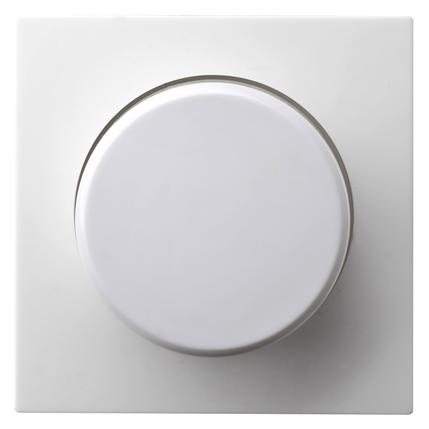 GAO Einsatz Dimmer Modul Weiss EFP (EFP701DC)