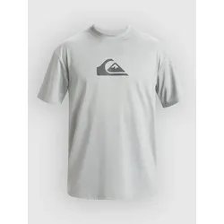 Quiksilver Everyday Surf Tee Lycra quarry Gr. L