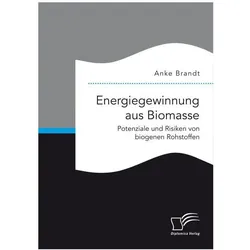 Energiegewinnung aus Biomasse. Potenziale und Risiken von biogenen Rohstoffen, Fachbücher von Anke Brandt