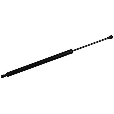JP GROUP Gasfeder, Koffer-/Laderaum 4381202000 beidseitig für RENAULT