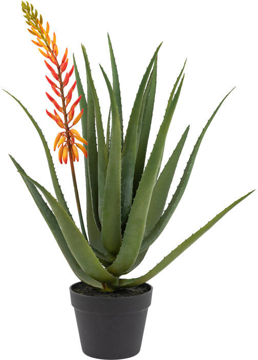 The Seasonal Aisle Aloe Potted Plant with Flower Red