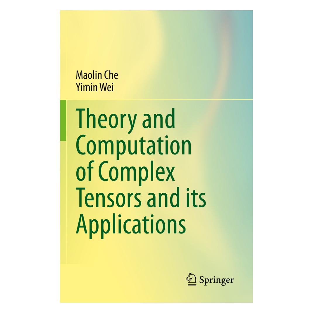 Springer Theory and Computation of Complex Tensors and its Applications (Englisch, Softcover, Maolin Che, Yimin Wei) (56187070)