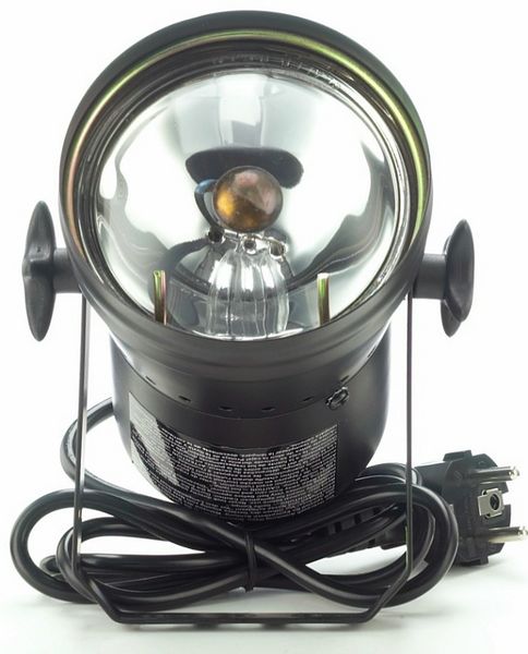 EuroLite PAR36 Pinspot incl. Bulb BK nero