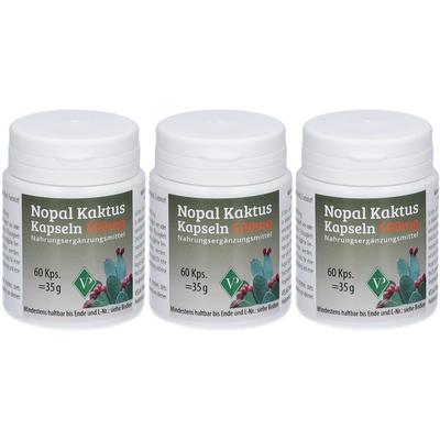 Nopal Kaktus 500 mg Kapseln x3 3x60 St