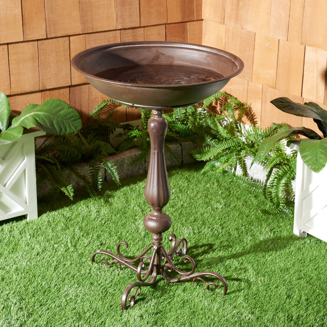 Astoria Grand Orian Bird Bath Rustic Brown 22cm H X 9cm W X 22cm D