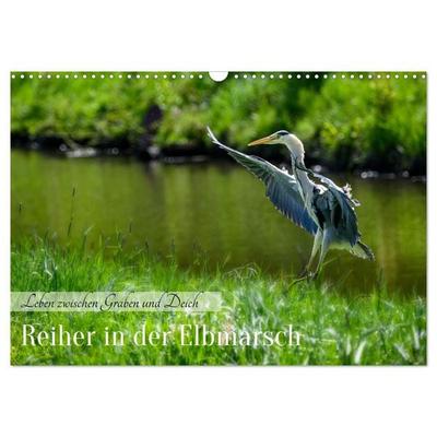 Reiher in der Elbmarsch (Wandkalender 2027 DIN A3 quer), CALVENDO Monatskalender