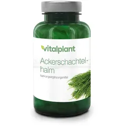 ACKERSCHACHTELHALM 500 mg Extrakt Vitalplant Kaps. 90 St