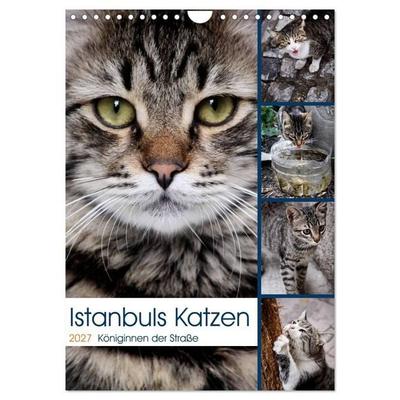 Istanbuls Katzen (Wandkalender 2027 DIN A4 hoch), CALVENDO Monatskalender