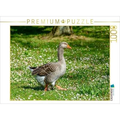 CALVENDO Puzzle Graugans | 1000 Teile Lege-Größe 64x48cm Foto-Puzzle für glückliche Stunden