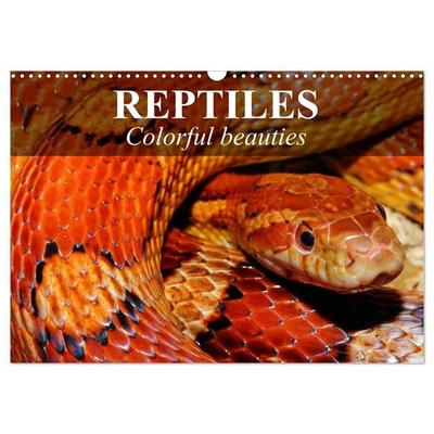 Reptiles Colorful beauties (Wall Calendar 2027 DIN A3 landscape), CALVENDO 12 Month Wall Calendar