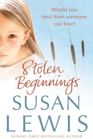 Susan Lewis - Stolen Beginnings - Preis vom 08.10.2026 07:26:42 h