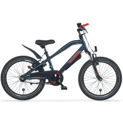 Alpina, Mountainbike