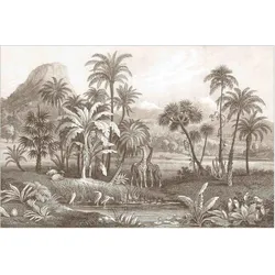 FOTOTAPETE Tropischer Kupferstich mit Giraffen in Braun 336/225 cm