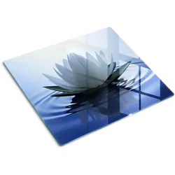 GLASPLATTE 60x52 cm Seerose