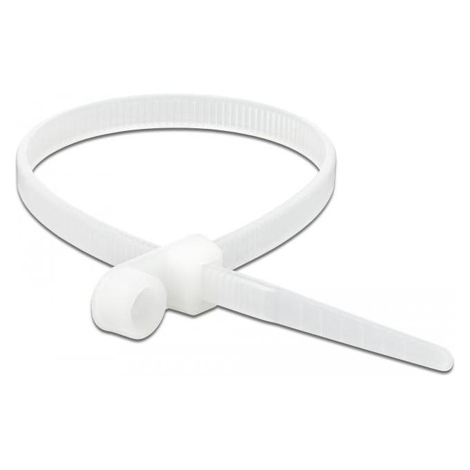 Delock Cable Tie with Fastening Eyelet (200 mm, 10 Stk.) (18945)