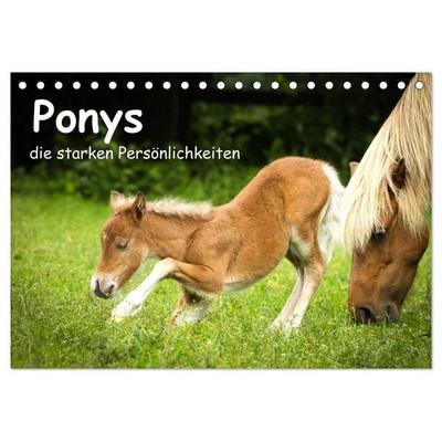Ponys, die starken Persönlichkeiten (Tischkalender 2027 DIN A5 quer), CALVENDO Monatskalender