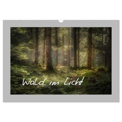 Wald im Licht (Wandkalender 2026 DIN A3 quer), CALVENDO Monatskalender