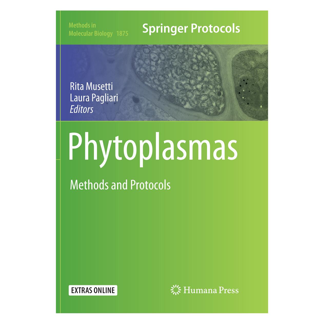 Springer Phytoplasmas (Englisch, Softcover, Laura Pagliari, Rita Musetti) (56111648)