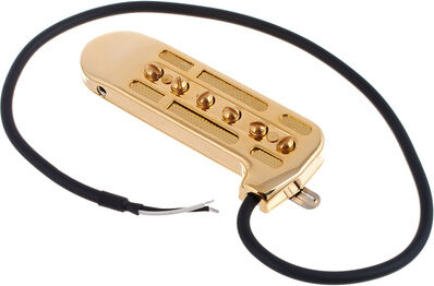 DeArmond Rhythm Chief 1100 Gold