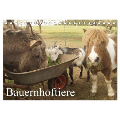 Bauernhoftiere (Tischkalender 2027 DIN A5 quer), CALVENDO Monatskalender