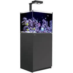 Red Sea REEFER 170 Deluxe (G2 - Modelljahr 2022) 1 x LED 90 Meerwasseraquarium mit Unterschrank schwarz