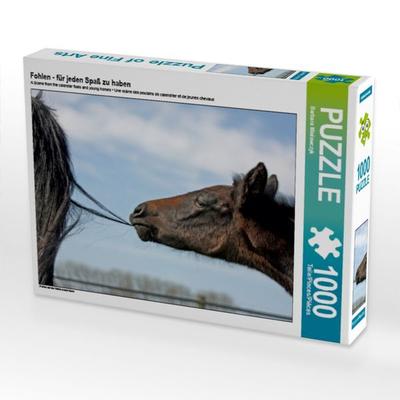 CALVENDO Puzzle Fohlen - für jeden Spaß zu haben | 1000 Teile Lege-Größe 64x48cm Foto-Puzzle für glückliche Stunden