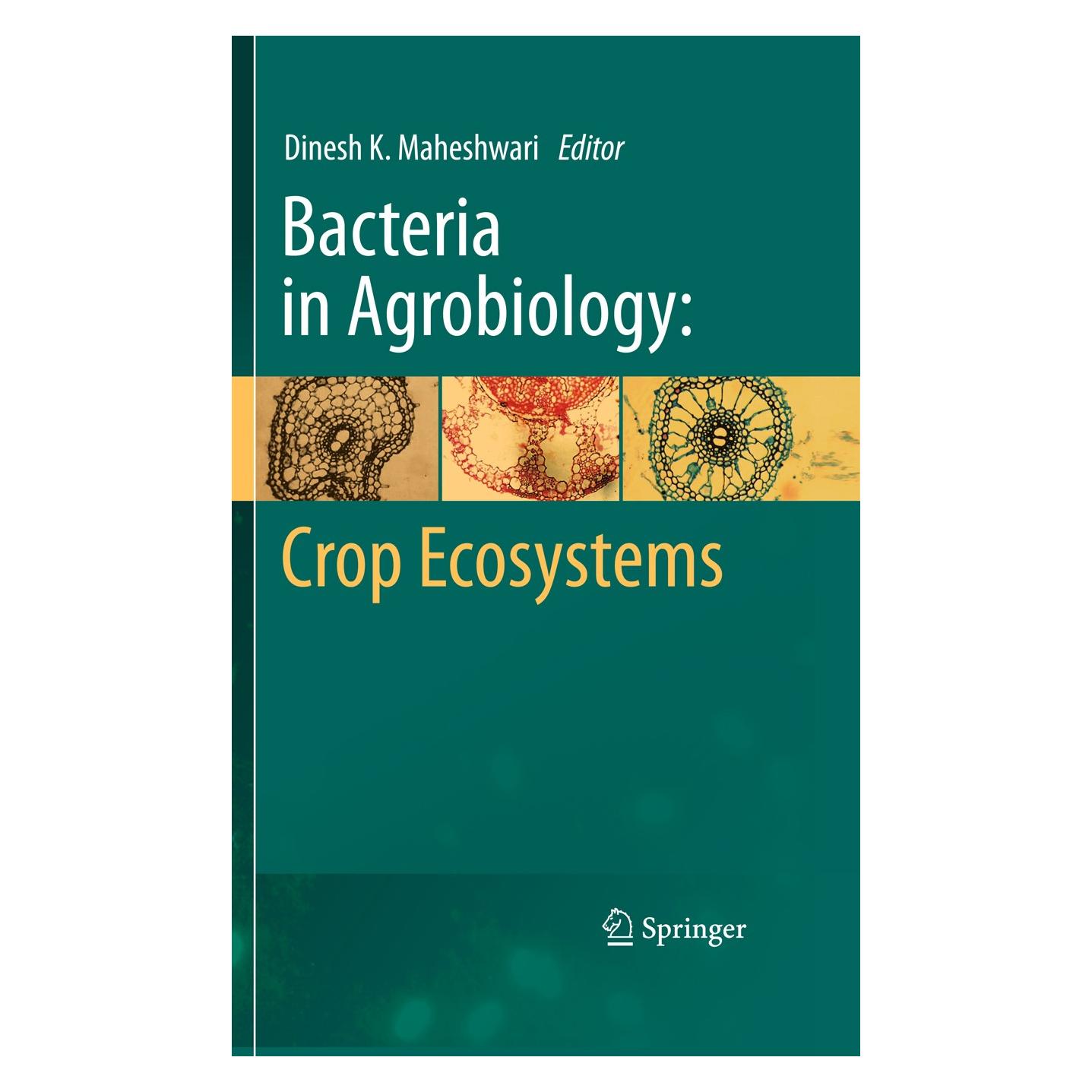 Springer Bacteria in Agrobiology: Crop Ecosystem (Englisch, Hardcover, Dinesh K. Maheshwari) (9783642183560)