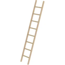Munk Sprossen-Anlegeleiter Holz ohne Traverse - 033108