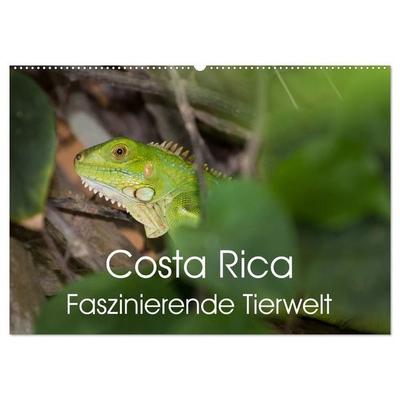 Costa Rica. Faszinierende Tierwelt (Wandkalender 2027 DIN A2 quer), CALVENDO Monatskalender