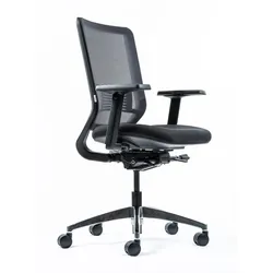 Ergonomischer Bürostuhl - Yaasa Chair Classic, Schwarz - Fördert gesunde Körperhaltung